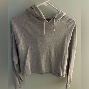 Joes Cropped Hoodie
